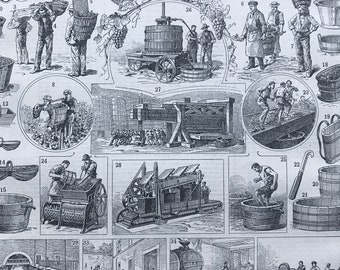 1897 Wine Production Original Antique Print - Sommelier Gift - Bar Restaurant Decor- Mounted and Matted - Available Framed