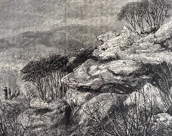 1880 View of Mount Wilson, in the Blue Mountains, New South Wales Original Antique Print - Australia - Mounted and Matted - Available Framed