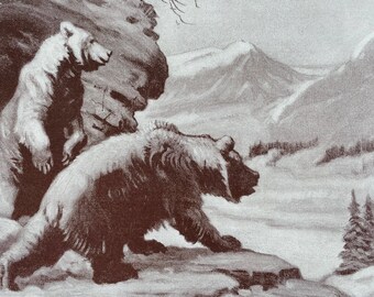 1935 Cave Bears of Europe Original Antique Print - Prehistoric Era - Mounted and Matted - Available Framed