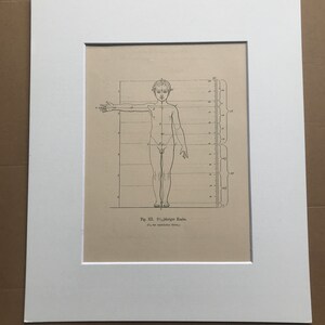 1890 Original Antique Anatomical Print - Dimensions of the Body - Anatomy - Medical Decor - Mounted and Matted - Available Framed