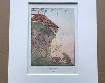 1919 Leopard Original Vintage Margaret W. Tarrant Illustration - Zoo - Animal Art - Available Framed - Nursery Decor - Children's Book