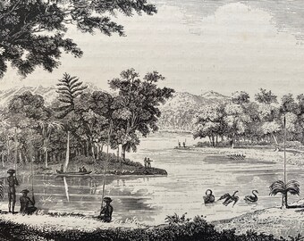 1880 View on the Swan River, Western Australia Original Antique Print - Australia - Mounted and Matted - Available Framed