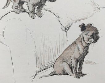 1930 Original Vintage Print - Cecil Aldin Illustration - Animal Art - Canine Decor - Dog Lover Gift - Puppy - Available Framed