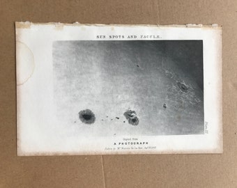 1899 Sun Spots and Faculae Original Antique Print - Astronomy