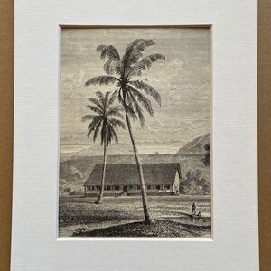 May include: Monochrome print depicting a tropical landscape with two palm trees. A large building with a veranda is in the mid-ground, with mountains in the background. The print is mounted in a white mount.