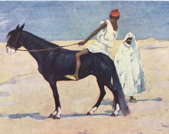 1904 An Arab Steed - Morocco Original Antique Print - Moroccan Landscape - Morocco - Mounted and Matted - Available Framed
