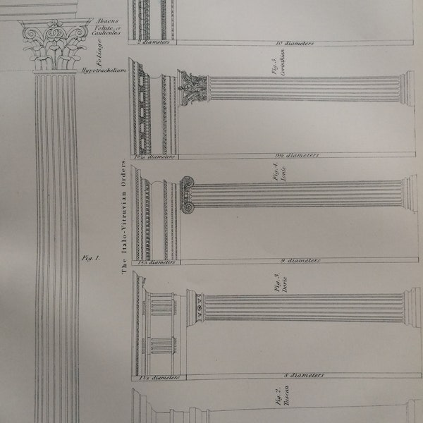 1875 Column Architecture Original Antique Matted Engraving - Tuscan, Doric, Ionic, Corinthian, Composite Orders - Matted & Available Framed