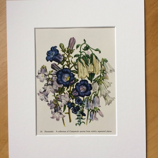 Botanical Art Etsy UK