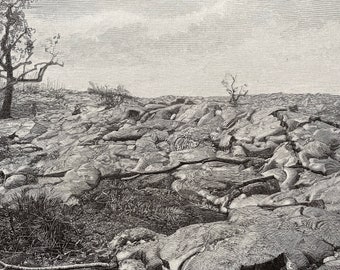 1883 End of the Lava Flow of 1881 Original Antique Print - Volcano - Hawaii - Geological Survey - Mounted and Matted - Available Framed