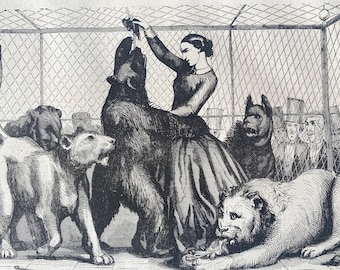 1855 Mademoiselle Borelli in the Den of Lions Original Antique Print - Available Framed