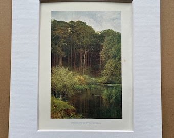 1922 Surrey - Woodland Depths, Wotton Original Antique Print - England - Mounted and Matted - Available Framed