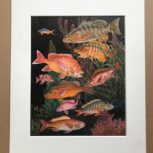 以下が含まれることがあります： 鮮やかな水中シーンを描いた額入りのプリント。オレンジ、赤、黄色の様々な魚が、暗い背景の中でサンゴや水生植物の間を泳いでいます。プリントは白いマットで額装されています。