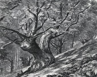 1876 At Coney Hill, Hayes Common, Kent Original Antique Wood Engraving - Mounted and Matted - England - Available Framed