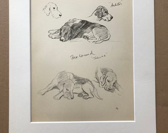 1937 Foxhound Original Vintage Dog Illustration - Lucy Dawson - Animal Art - Dog Drawing - Dog Lover Gift Idea - Available Framed