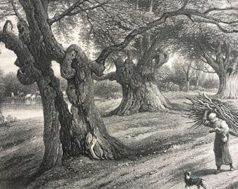 1876 At Burnham Beeches Original Antique Steel Engraving - Mounted and Matted - Buckinghamshire - Decorative Art - Available Framed