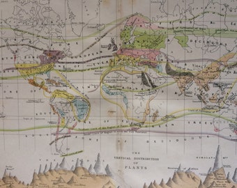 1871 Original Antique World Map  showing the distribution & limits of cultivation of the Principal Trees and Grains