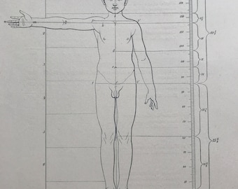 1890 Original Antique Anatomical Print - Dimensions of the Body - Anatomy - Medical Decor - Mounted and Matted - Available Framed