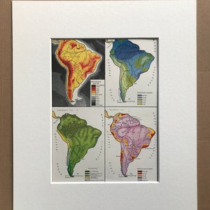 May include: A framed vintage map of South America, divided into four sections. Each section displays a different aspect of the continent: elevation, rainfall, vegetation, and population. The maps are in shades of yellow, blue, green, and purple.