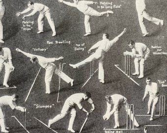 1930s Cricket Original Vintage Print - Sports - Pub Decor - Mounted and Matted - Available Framed