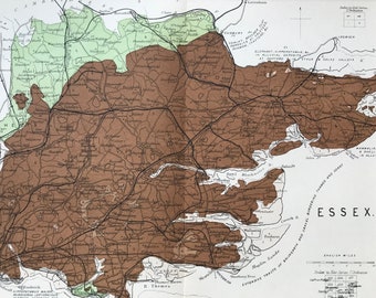 1913 Essex Original Antique Small Geological Map - UK County Map - Geology - Available Framed