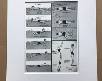 1940s Swimming Strokes Original Vintage Print - Sports - Swimmer - Diving - Swallow Dive - Butterfly - Mounted and Matted - Available Framed