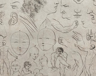 1806 Drawing Original Antique Engraving - Gift for Artist - Encyclopaedia - Mounted and Matted - Available Framed