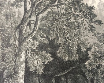 1876 The Deer Garden, Stockholm Original Antique Wood Engraving - Sweden - Mounted and Matted - Available Framed