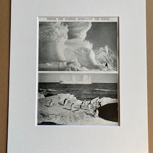 1940s Antarctica Original Vintage Print - Iceberg - Penguins - Mounted and Matted - Available Framed
