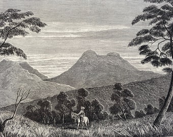 1880 View of Cunningham's Gap, Mount Mitchell, New South Wales Original Antique Print - Australia - Mounted and Matted - Available Framed
