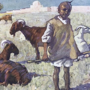 1904年 メディウナの羊飼い オリジナルアンティークプリント - モロッコの風景 - モロッコ - マウントおよびマット加工 - 額装可能