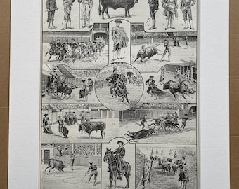 1897 Bullfighting Original Antique Print - Mounted and Matted - Available Framed