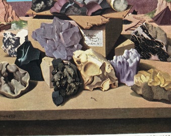 1940s British Minerals Original Vintage Print - Mineralogy - Amethyst, Quartz, Fluorspar, Galena - Mounted and Matted - Available Framed