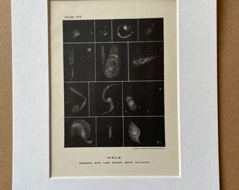 1913 Nebulae observed with Lord Rosse's Great Telescope Original Antique Print - Astronomy - Mounted and Matted - Available Framed