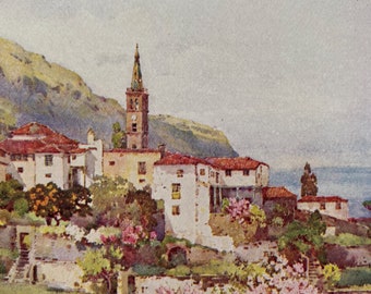 1911 Tenerife - Realejo Alto Original Antique Print - Botanical Art - Canary Islands - Mounted and Matted - Available Framed