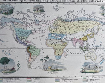 1858 Original Antique World Map showing Botanical Regions and Distribution of Vegetation, Flowers, Vegetables - Botany - Available Framed