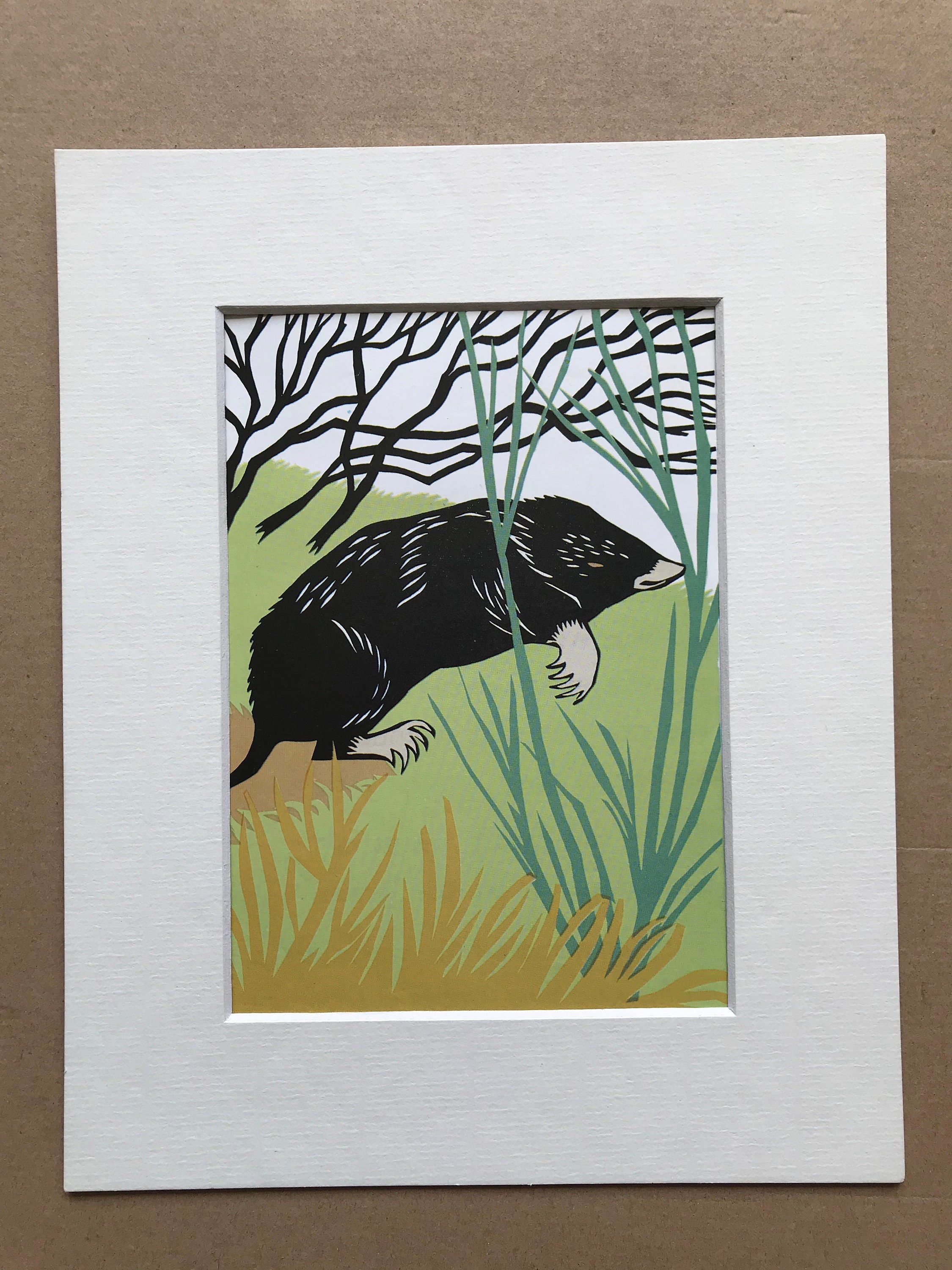 1958 Mole Original Vintage Illustration - Mounted and Matted - Paper ...