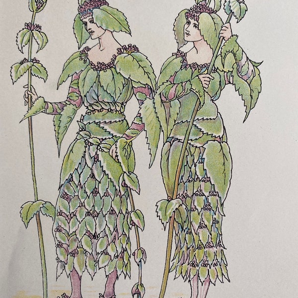 1906 Mint Flowers from Shakespeare's Garden Original Antique Print - Herb - Botanical Art - Available