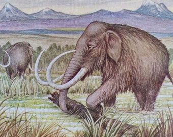 1931 The Mammoth Original Antique Print - Geology - Mounted and Matted - Available Framed