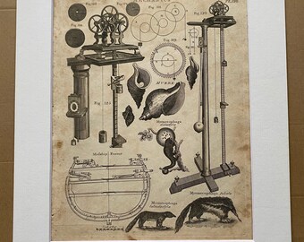 1806 Mechanics, Midship Frame, Anteater Original Antique Engraving - Encyclopaedia - Mounted and Matted - Available Framed
