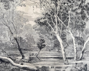1880 View on the Ovens River, Victoria Original Antique Print - Australia - Mounted and Matted - Available Framed