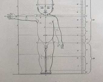 1890 Original Antique Anatomical Print - Dimensions of a Newborn Baby - Anatomy - Medical Decor - Mounted and Matted - Available Framed