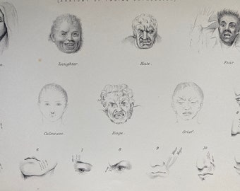 1891 Artistic Anatomy - Facial Expressions Original Antique Print - Available Matted and Framed