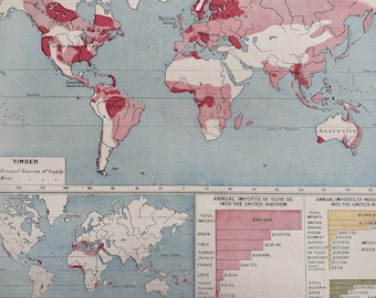 1906 Timber, Oil and Palms - The World Commodities Original Antique Print - Statistics - Mounted and Matted - Available Framed