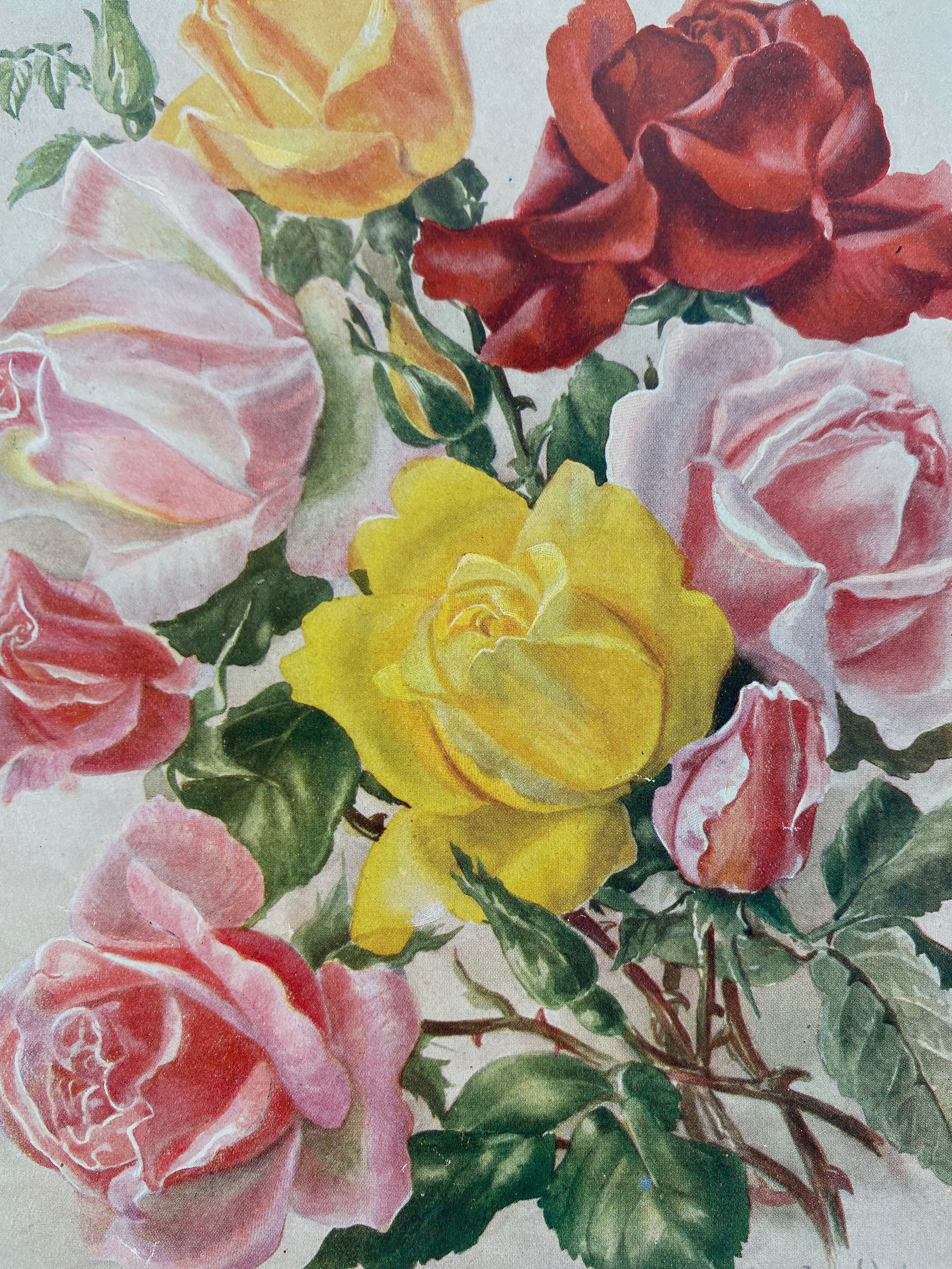 Rose Watercolor Floral Book Art (Original)