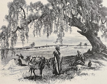 1880 Kefr Saba Original Antique Print - Palestine - Mounted and Matted - Available Framed