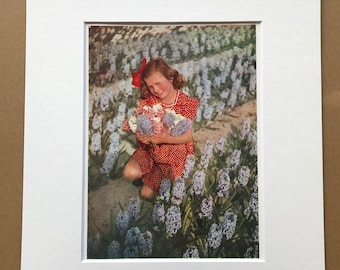 1940s Dutch Girl in field of Hyacinths Original Vintage Print - Mounted and Matted - Portrait Photography - Haarlem - Available Framed
