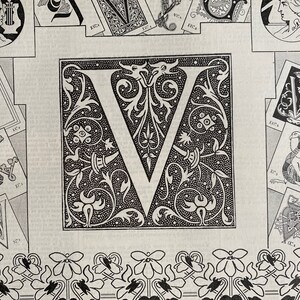 1897 Letter V - Decorative Alphabet Letter Original Antique Print - Birthday Gift - Mounted and Matted - Available Framed