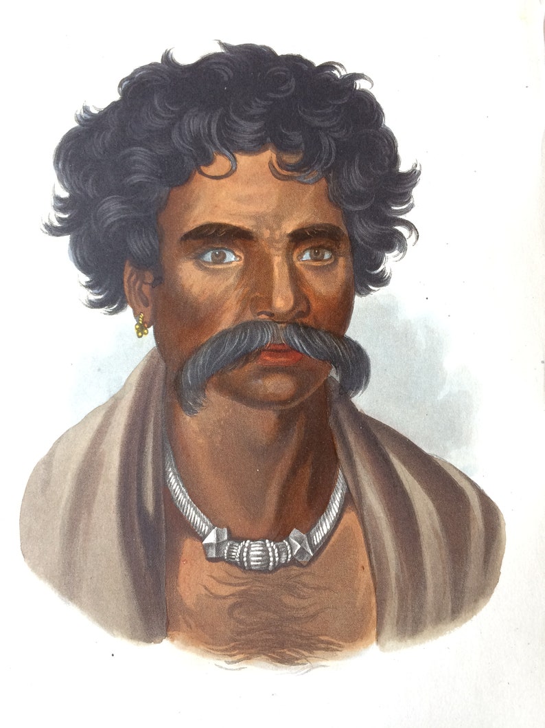 Ethnography Human Races 1855 A Man of the Tuda Race Original Antique Hand Coloured Engraving Anthropology