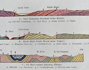 1931 Sections through Devonian Rocks Original Antique Print - Geology - Mounted and Matted - Available Framed