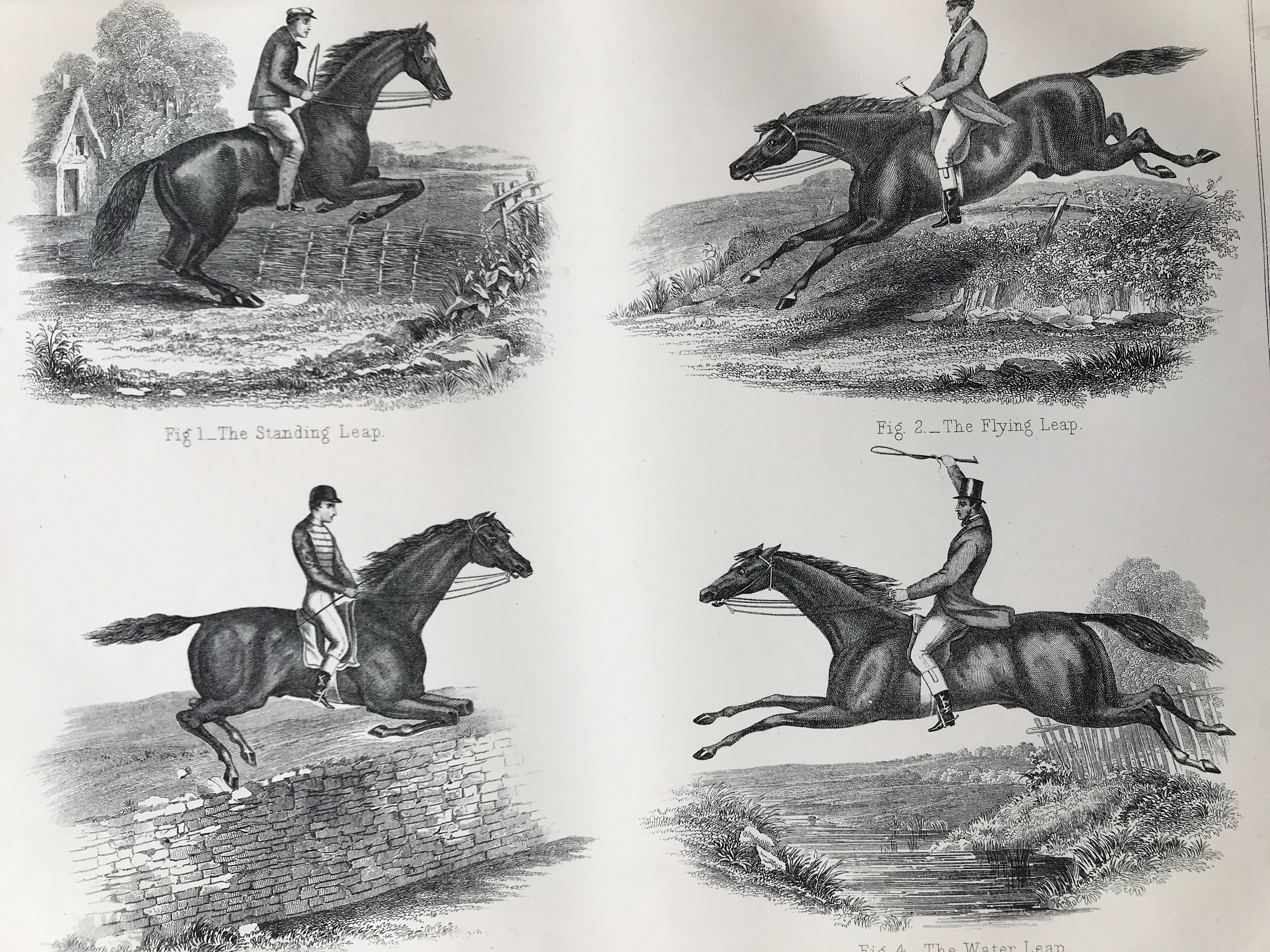 Free Free Equestrian Horse Jumping Svg